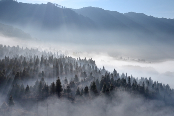 德宏盈江.jpg 德宏盈江.jpg