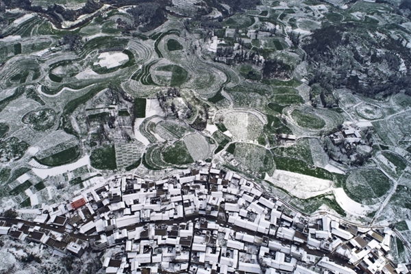 羅平.jpg 羅平.jpg