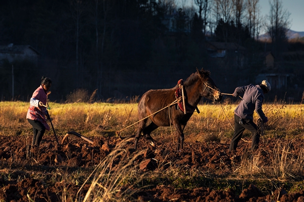 昆明嵩明.jpg 昆明嵩明.jpg
