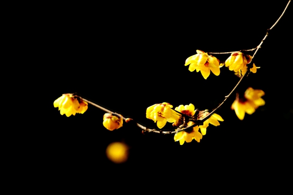 昆明安寧.jpg 昆明安寧.jpg