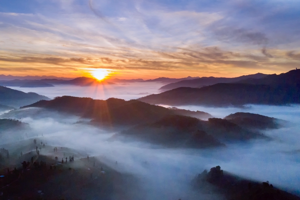 普洱.jpg 普洱.jpg