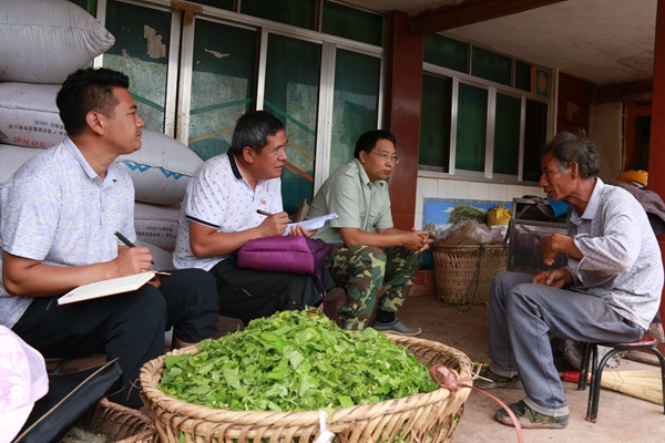 麗江永勝.jpg 麗江永勝.jpg