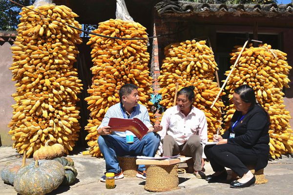 楚雄雙柏1_副本.jpg 楚雄雙柏1_副本.jpg