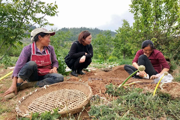 昆明盤龍.jpg 昆明盤龍.jpg