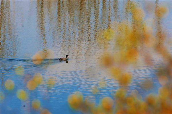 紀檢人鏡頭（立春-除夕夜）云南昭通市紀委 (1)_副本.jpg