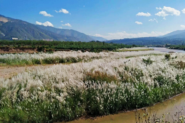 楊曉慧.jpg 楊曉慧.jpg