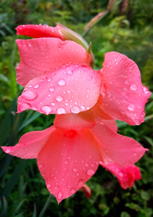 P70708-074133.jpg P70708-074133.jpg