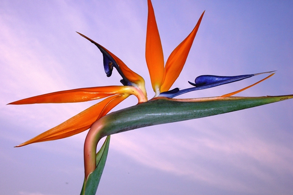 DSC06616_副本.jpg DSC06616_副本.jpg