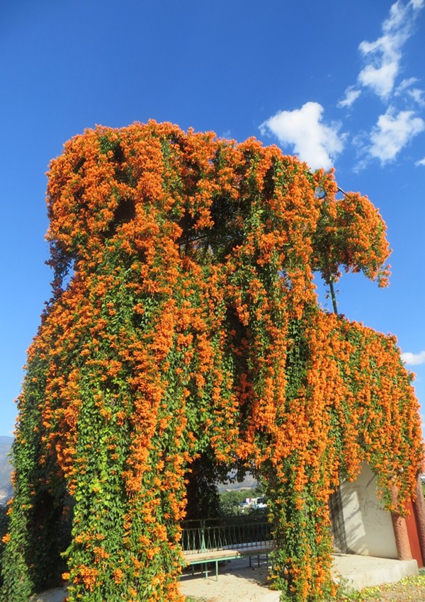 _20181212104912.jpg _20181212104912.jpg