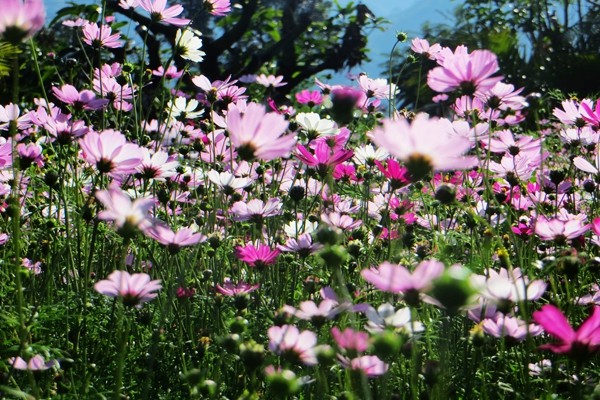 _20181212104931.jpg _20181212104931.jpg