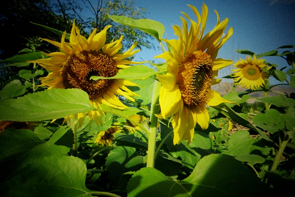 _20181212104938.jpg _20181212104938.jpg