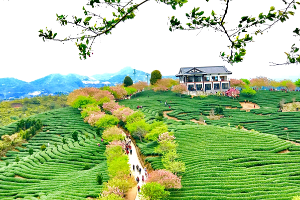 春分1.png 春分1.png