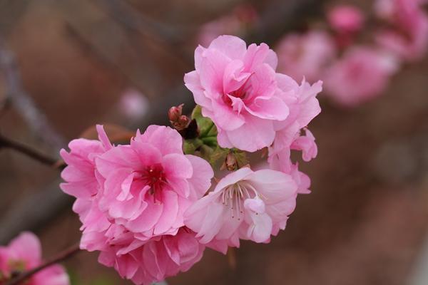 昆明宜良.jpg 昆明宜良.jpg