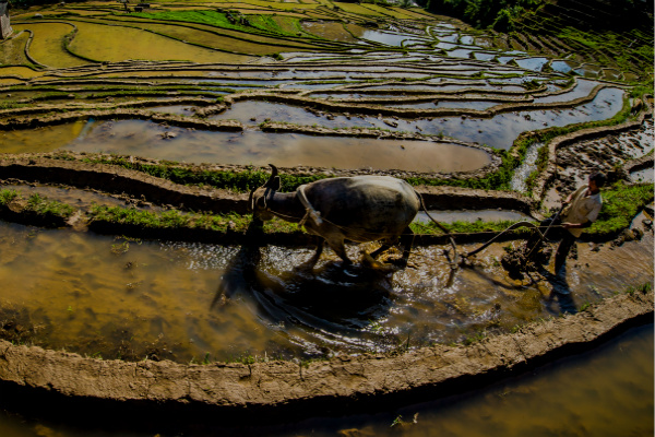 芒市.jpg 芒市.jpg