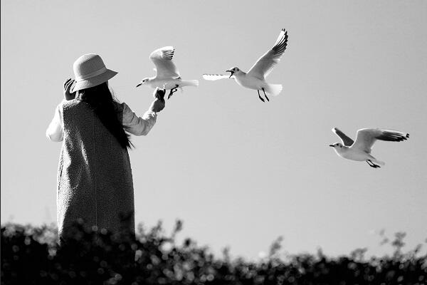 TIM截圖20190422151258.jpg TIM截圖20190422151258.jpg