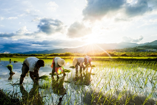 17隆陽.jpg 17隆陽.jpg