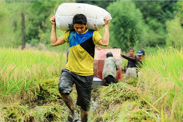 11巧家.png 11巧家.png