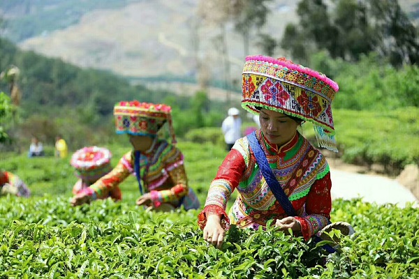 6華坪.jpg 6華坪.jpg