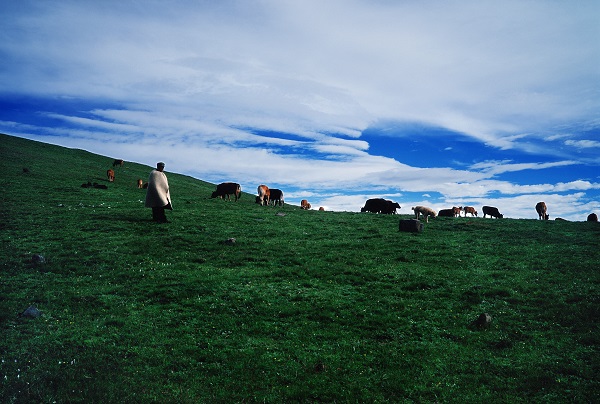 3曲靖.jpg 3曲靖.jpg