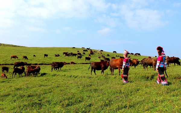 10硯山.jpg 10硯山.jpg