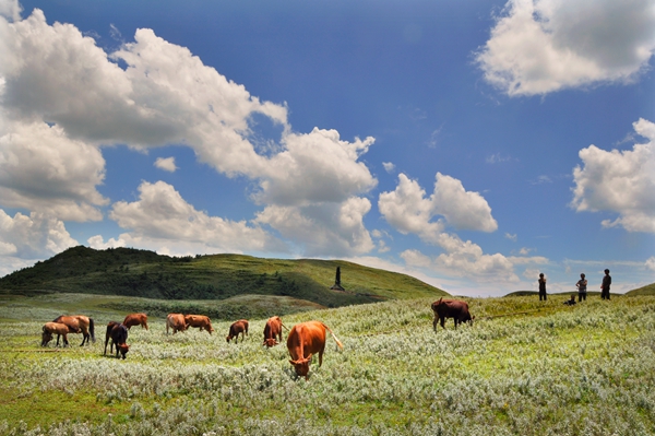 5 600乘以400【紀檢人·鏡頭】立夏+云南省富源縣紀委監(jiān)委.jpg 5 600乘以400【紀檢人·鏡頭】立夏+云南省富源縣紀委監(jiān)委.jpg