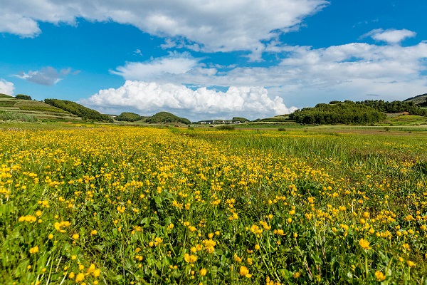 15巧家.jpg 15巧家.jpg