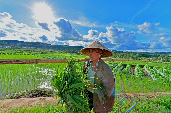 2建水.jpg 2建水.jpg