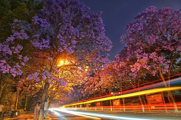 12五華區(qū).jpg 12五華區(qū).jpg