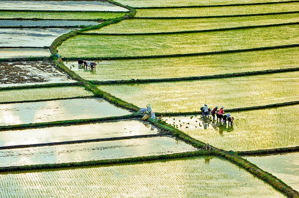 14劍川.jpg 14劍川.jpg