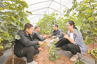 微信圖片_20190529083633.jpg 微信圖片_20190529083633.jpg