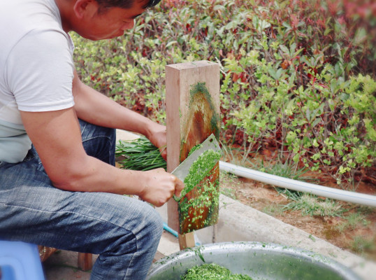 美食4.jpg 美食4.jpg