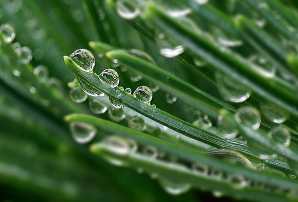 安寧.png 安寧.png