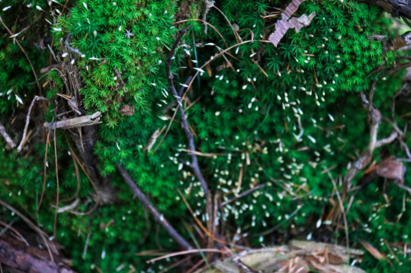 圖片2.png 圖片2.png