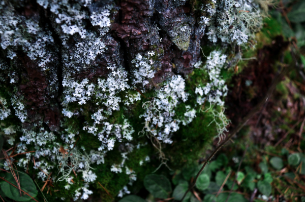 圖片4.png 圖片4.png