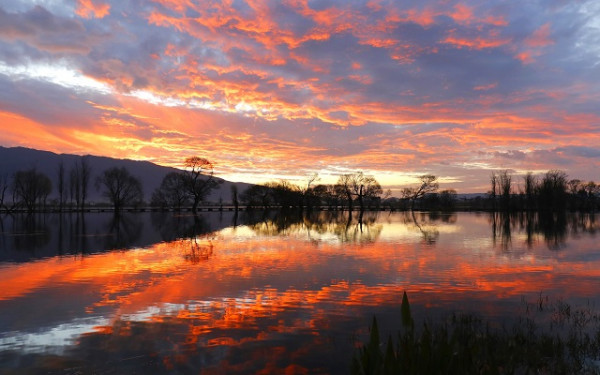 image013.jpg image013.jpg