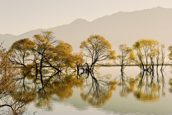 image003.jpg image003.jpg