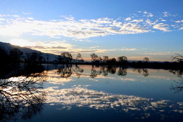 image006.jpg image006.jpg