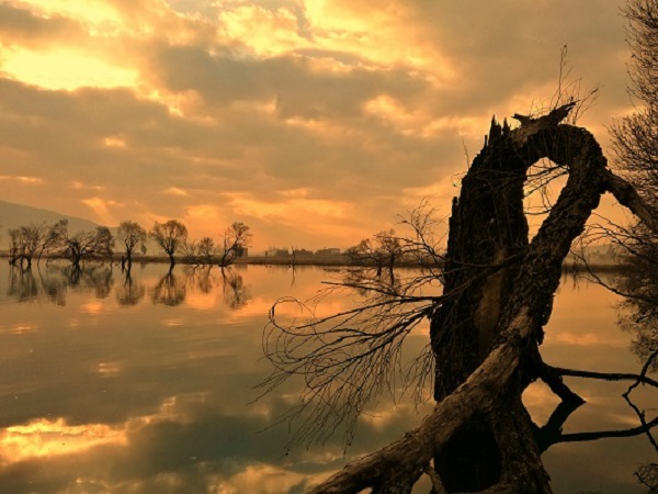 ylIDEEYkv0wn884bgpXZScOoDEVCFxzzgAMyhgRr.jpeg ylIDEEYkv0wn884bgpXZScOoDEVCFxzzgAMyhgRr.jpeg