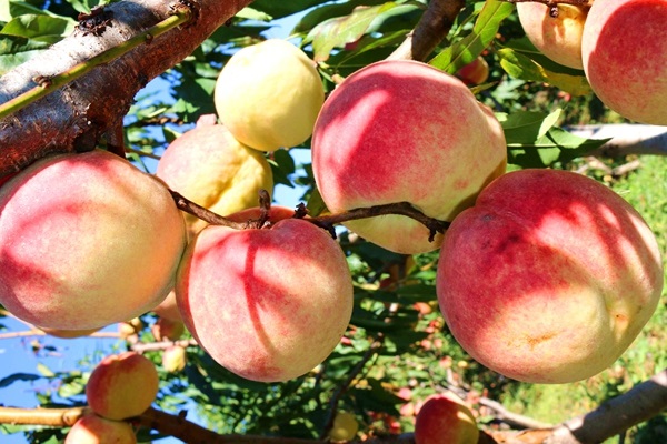 RC0EkUZX0G7dPf4se73jri3JfrBLFeFTT1ra3jbr.jpeg RC0EkUZX0G7dPf4se73jri3JfrBLFeFTT1ra3jbr.jpeg