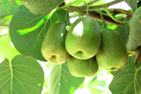 xKjxPU3wxnPHaIAVK5aZwvHduDHXTTfJHvgR9I4n.jpeg xKjxPU3wxnPHaIAVK5aZwvHduDHXTTfJHvgR9I4n.jpeg