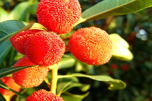 PUeHtbHtWFzh7lMB6nFEEtWJEvfKMhZjqPA2Iiqx.jpeg PUeHtbHtWFzh7lMB6nFEEtWJEvfKMhZjqPA2Iiqx.jpeg