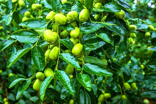 tuXrCNViyOE1ZNQB98EeXOg9wpO3SUNYt7zwjfg5.jpeg tuXrCNViyOE1ZNQB98EeXOg9wpO3SUNYt7zwjfg5.jpeg