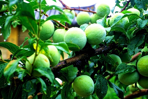 1O7PcPHCyGYdrcRfyxVAELiU0avKuuuOhQnlDLhG.jpeg 1O7PcPHCyGYdrcRfyxVAELiU0avKuuuOhQnlDLhG.jpeg