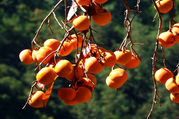 UCKSciaLTuI2hkhSgMDPMwwPr4f0OQZ4Z1CKRceU.jpeg UCKSciaLTuI2hkhSgMDPMwwPr4f0OQZ4Z1CKRceU.jpeg