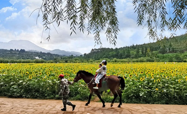 7_副本.jpg 7_副本.jpg