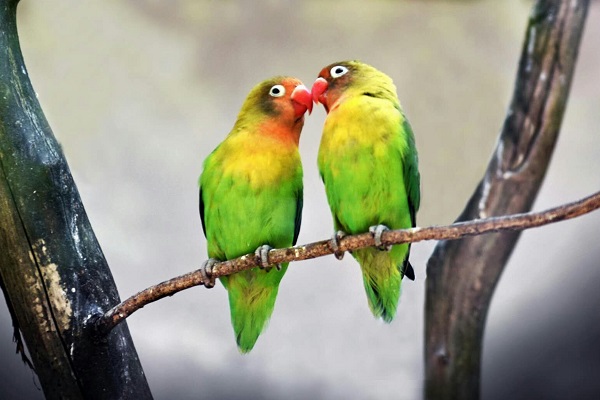 昭通水富.jpg 昭通水富.jpg