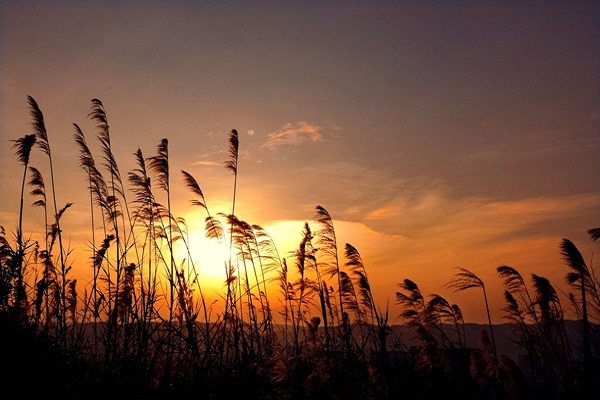 10宜良.jpg 10宜良.jpg