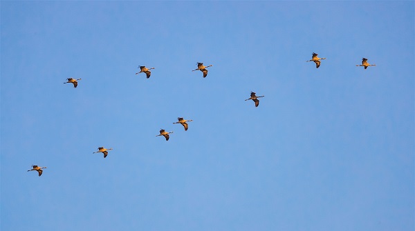 9梁河.jpg 9梁河.jpg