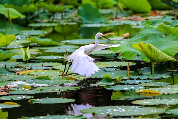 7五華區.jpg 7五華區.jpg