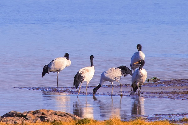 4賓川.jpg 4賓川.jpg